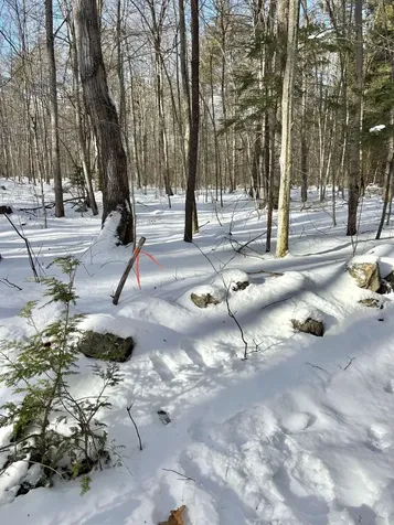 Lot 80-1 Currier Road Candia NH 03034