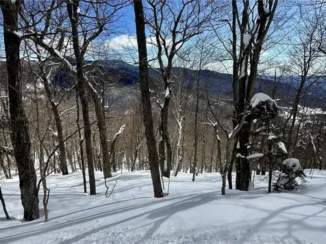 7412 Mountain Road Stowe VT 05672