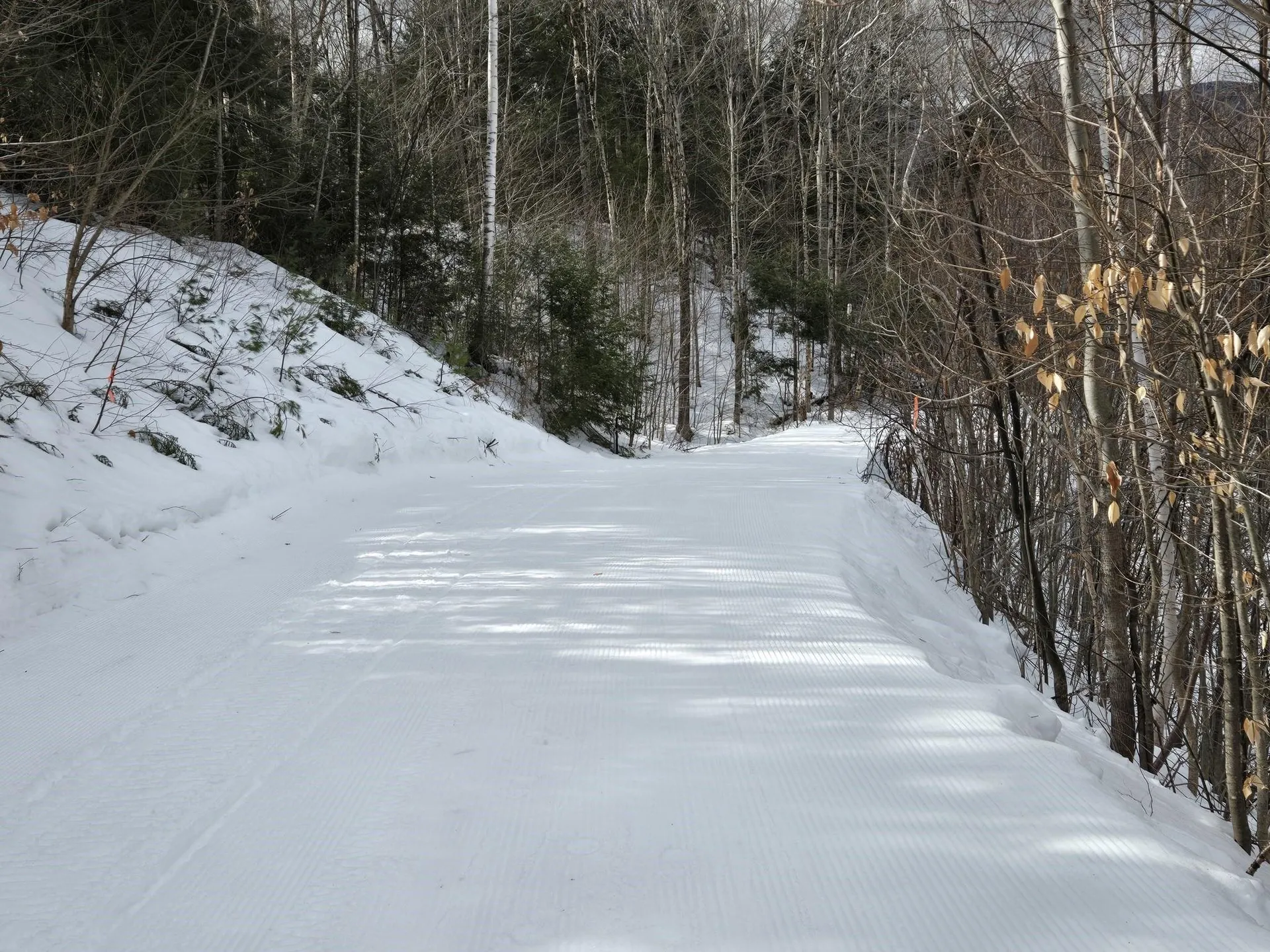 16 Yellow Birch Circle Lincoln NH 02351
