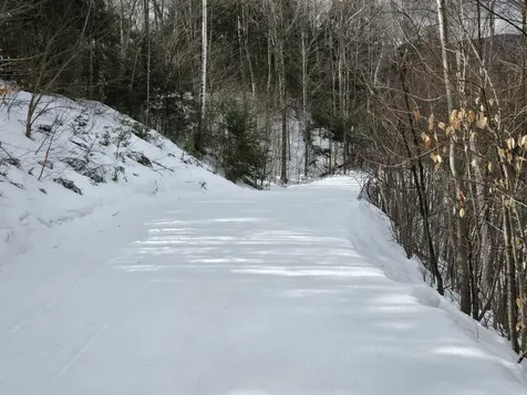 16 Yellow Birch Circle Lincoln NH 02351