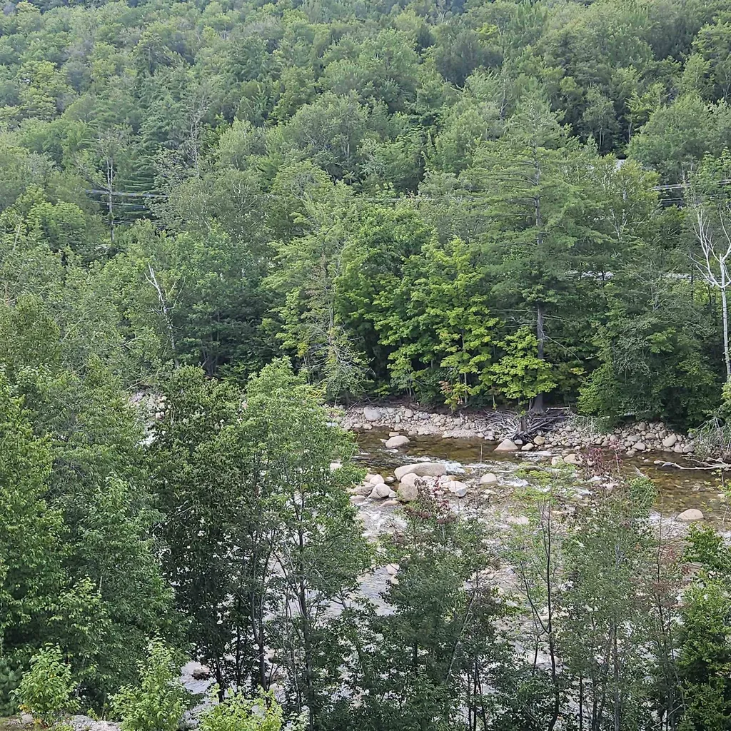 90 Loon Mountain Road Lincoln NH 03251