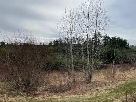 213-023-3 Yeaton Road Plymouth NH 03264