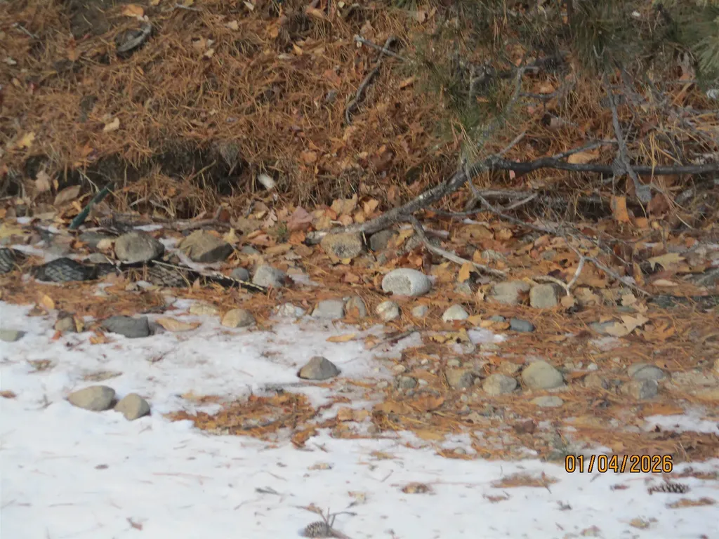 164 Leavitt Road Ossipee NH 03814