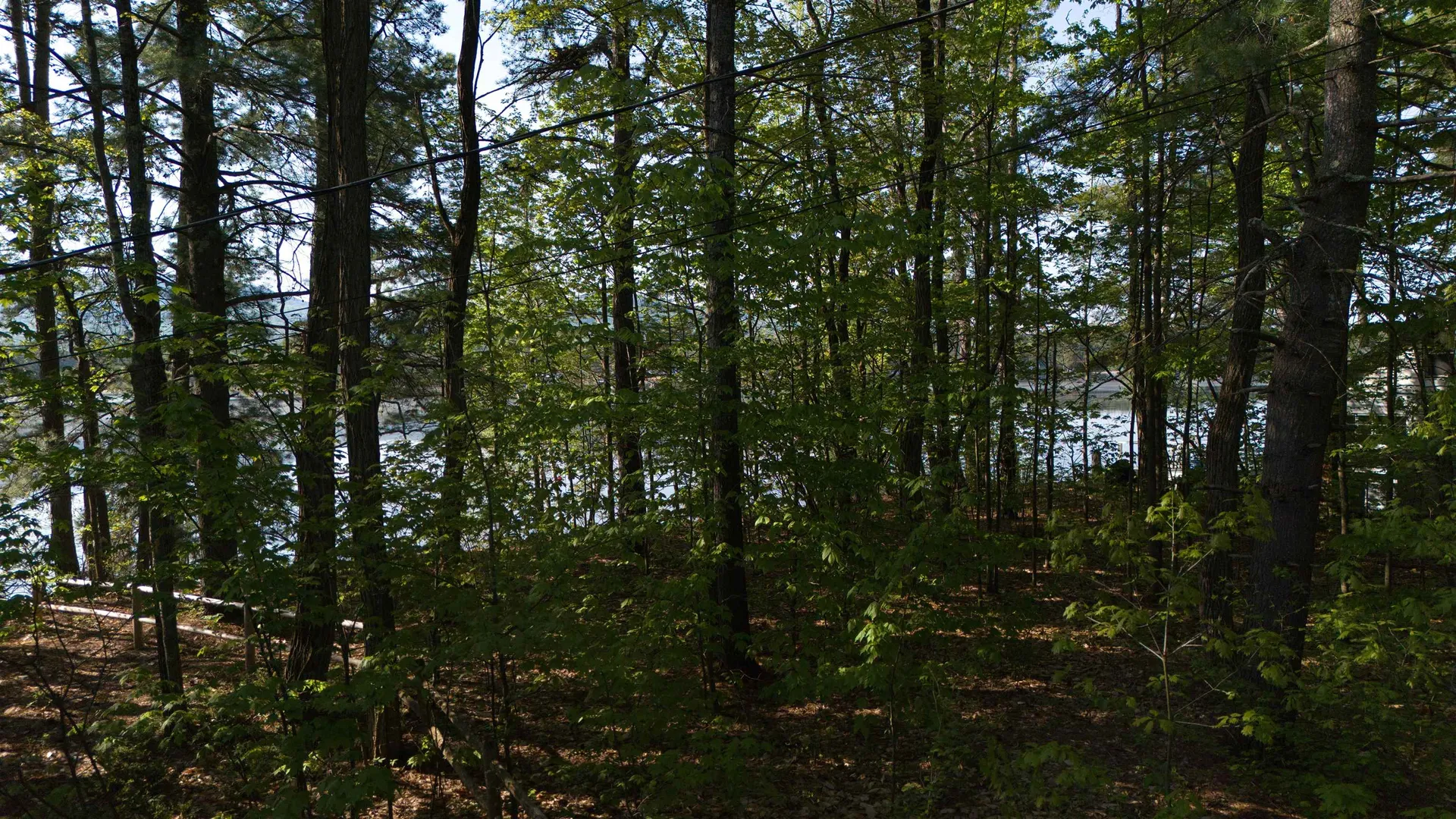 164 Leavitt Road Ossipee NH 03814