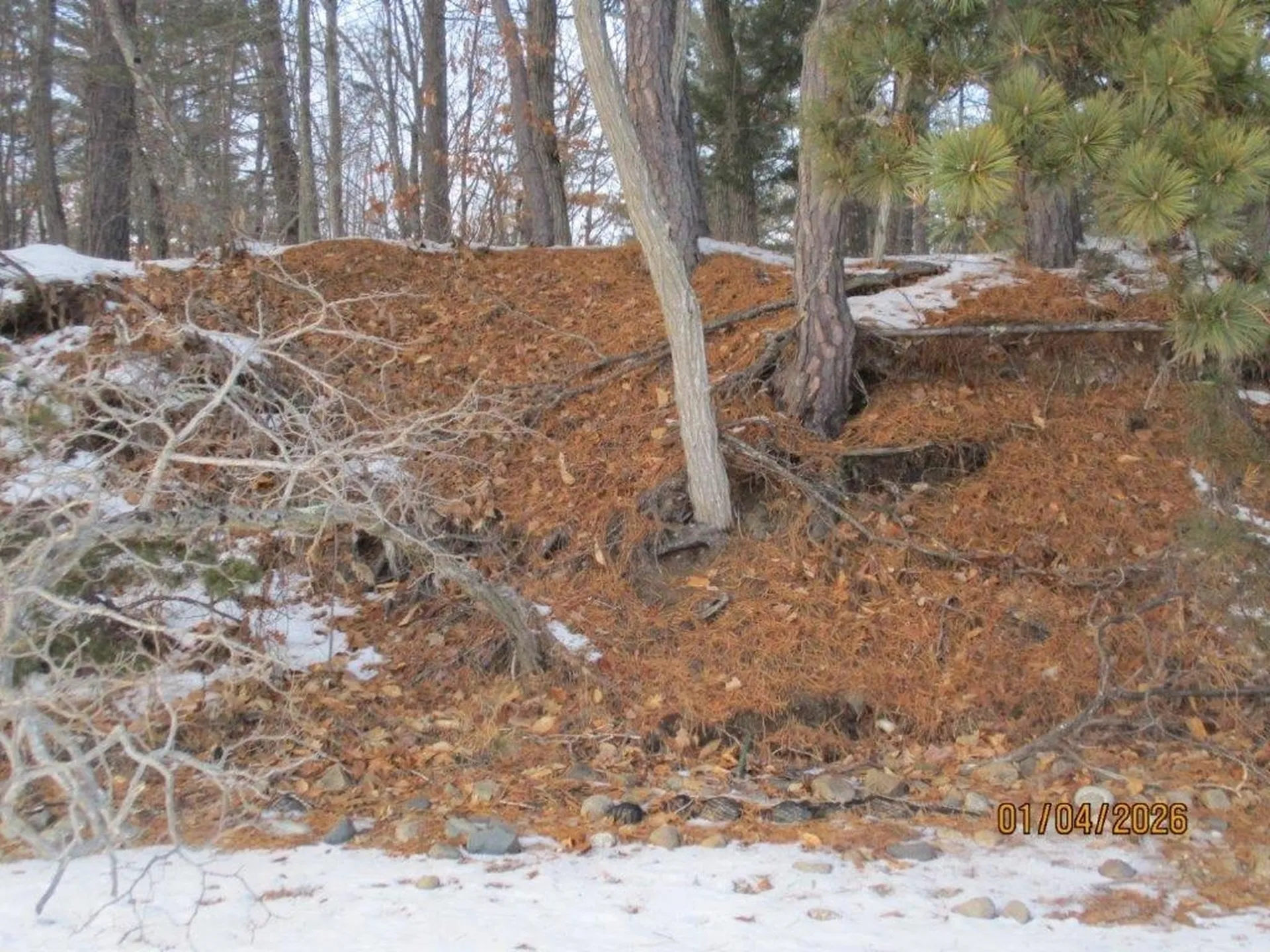 164 Leavitt Road Ossipee NH 03814