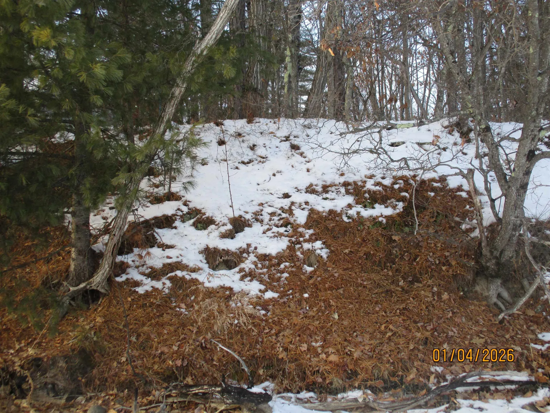 164 Leavitt Road Ossipee NH 03814