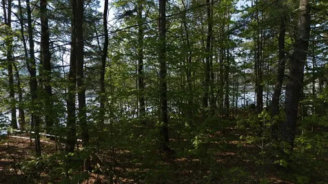 164 Leavitt Road Ossipee NH 03814