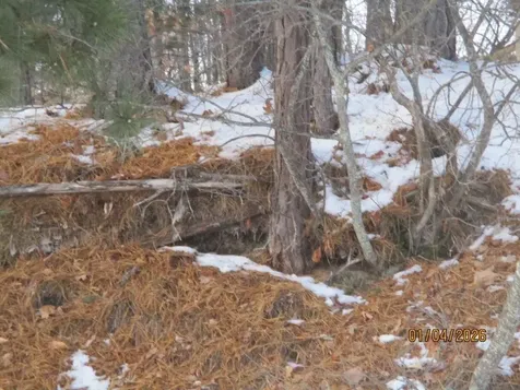 164 Leavitt Road Ossipee NH 03814