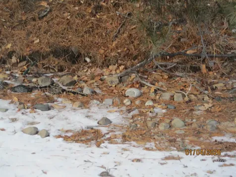 164 Leavitt Road Ossipee NH 03814