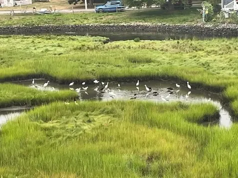 20 Gill Street Hampton NH 03842-4245