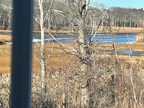 20 Gill Street Hampton NH 03842-4245