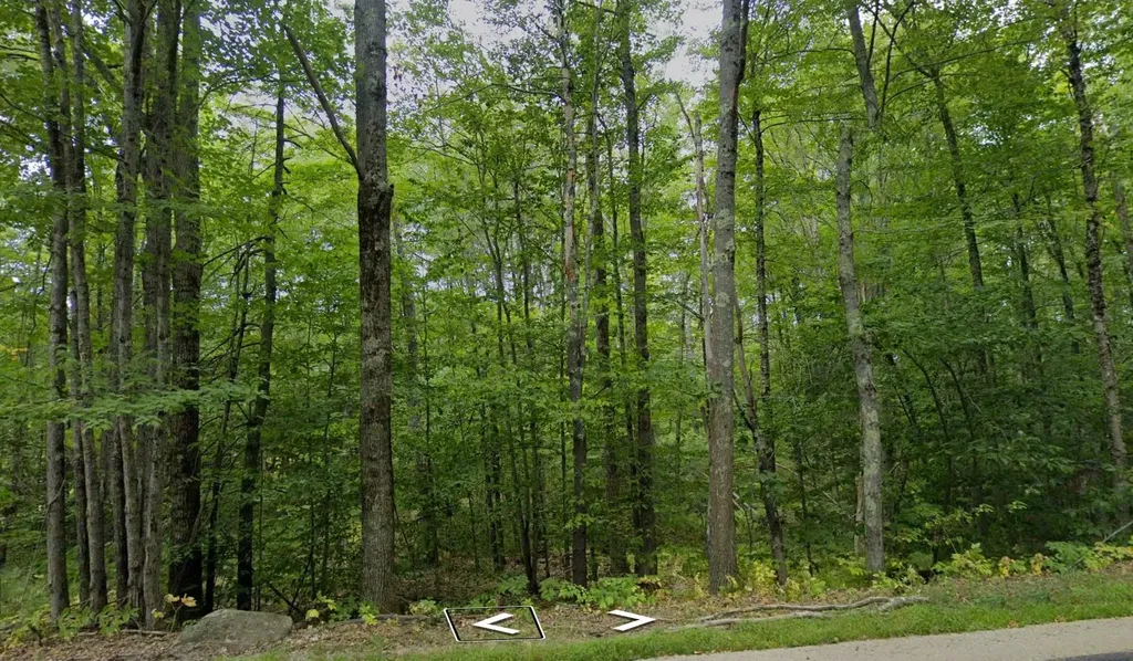 82 Ledge Hill Road Tuftonboro NH 03816