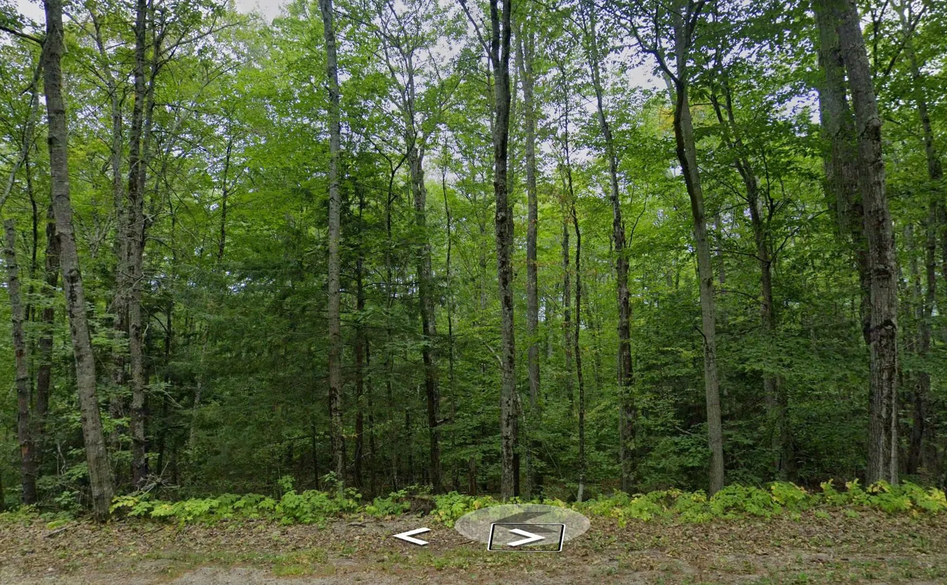 82 Ledge Hill Road Tuftonboro NH 03816