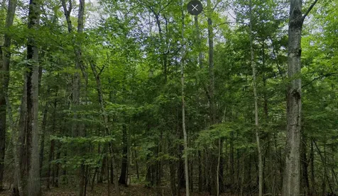 82 Ledge Hill Road Tuftonboro NH 03816