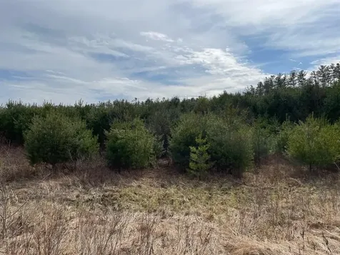 213-023-2 Yeaton Road Plymouth NH 03264