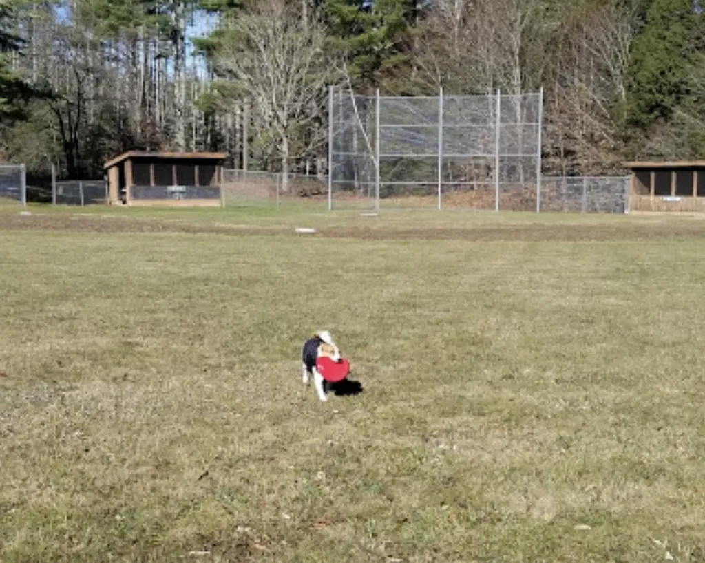 191 Pingree Park Lane Londonderry VT 05148