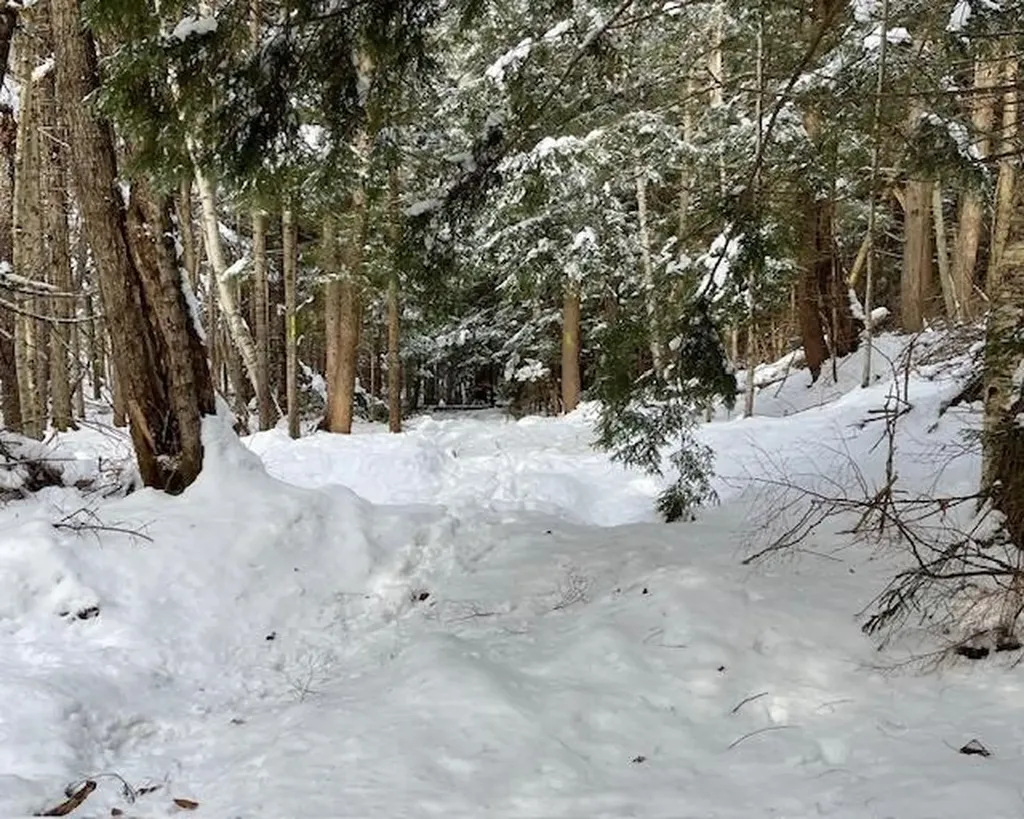 191 Pingree Park Lane Londonderry VT 05148