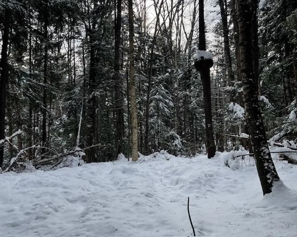 191 Pingree Park Lane Londonderry VT 05148