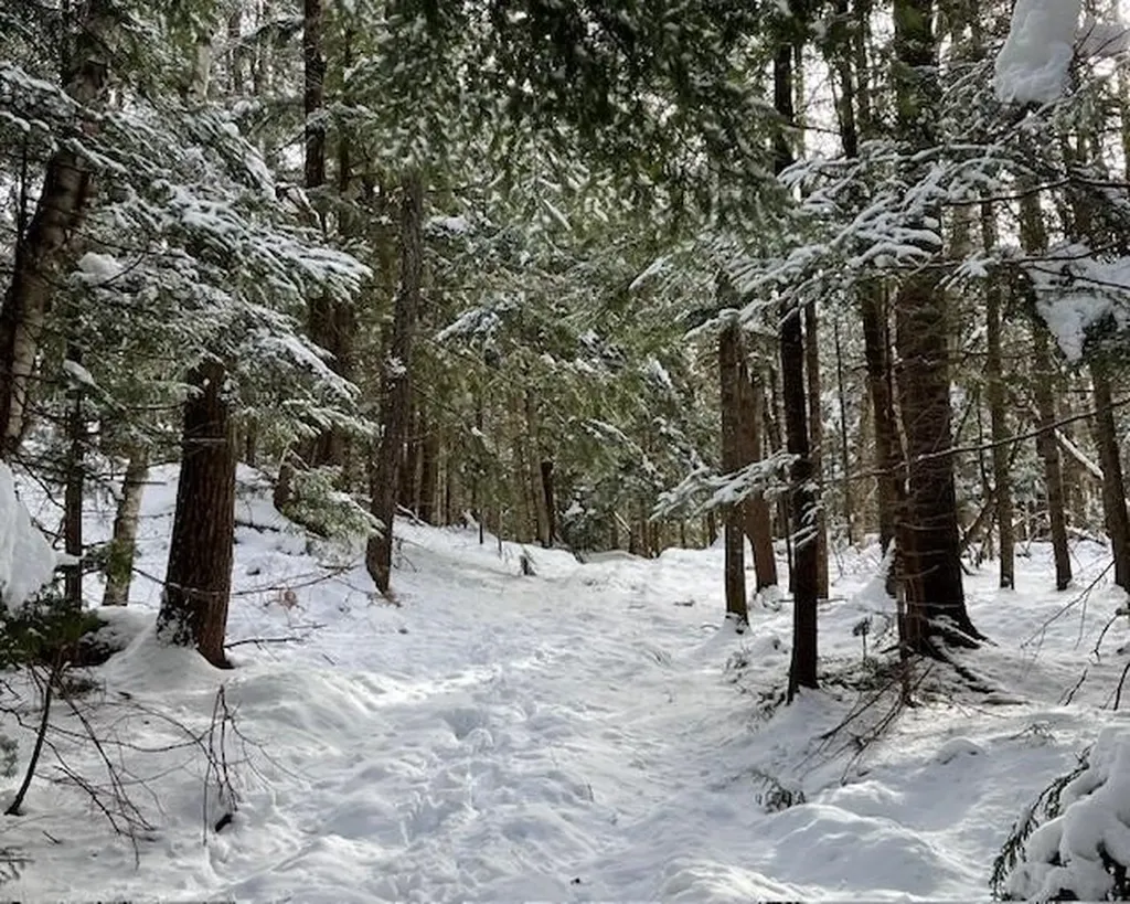 191 Pingree Park Lane Londonderry VT 05148