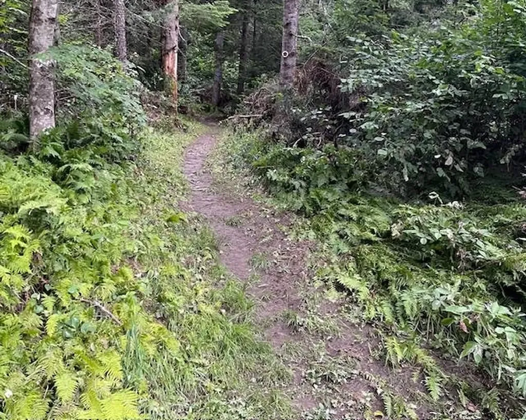 191 Pingree Park Lane Londonderry VT 05148