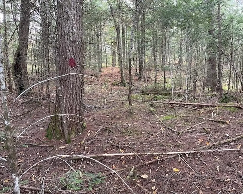 191 Pingree Park Lane Londonderry VT 05148