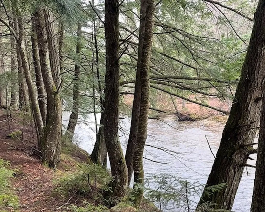 191 Pingree Park Lane Londonderry VT 05148