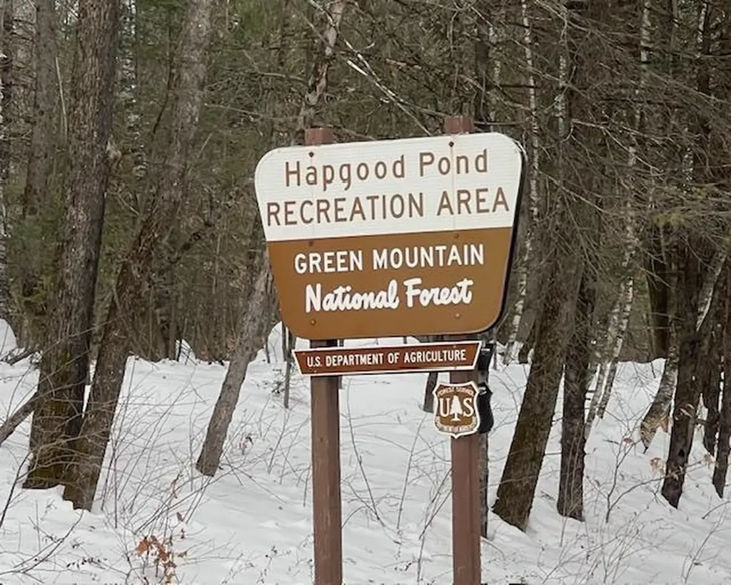 191 Pingree Park Lane Londonderry VT 05148