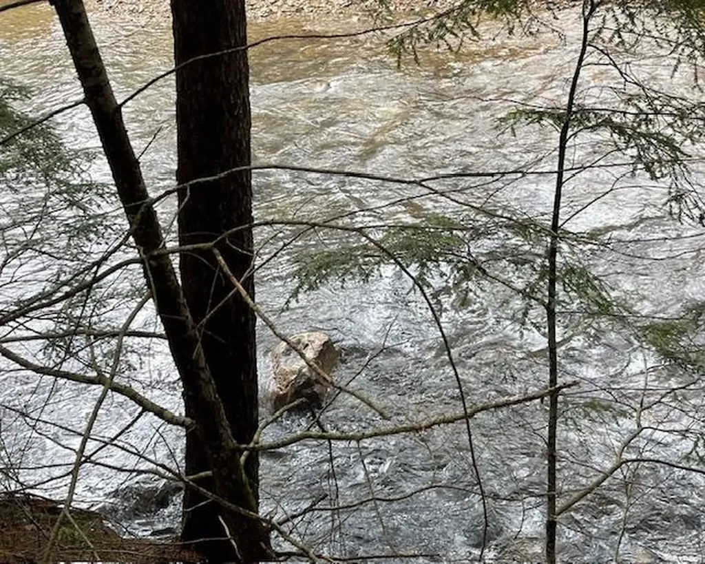 191 Pingree Park Lane Londonderry VT 05148