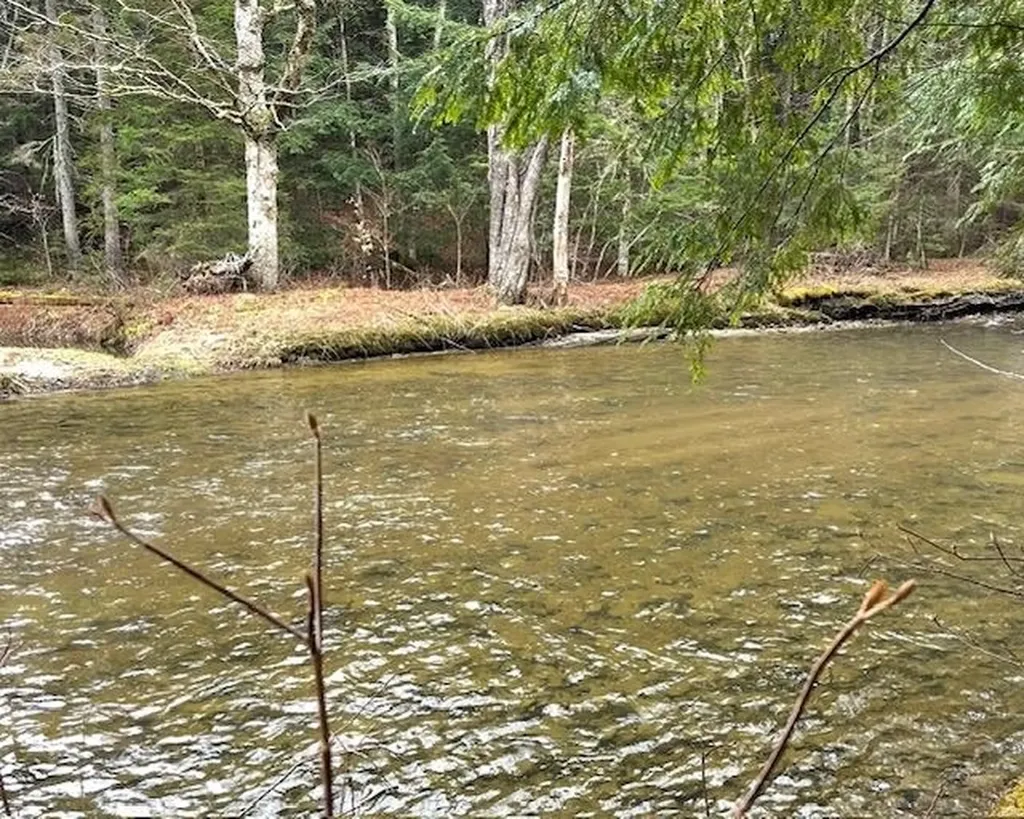 191 Pingree Park Lane Londonderry VT 05148