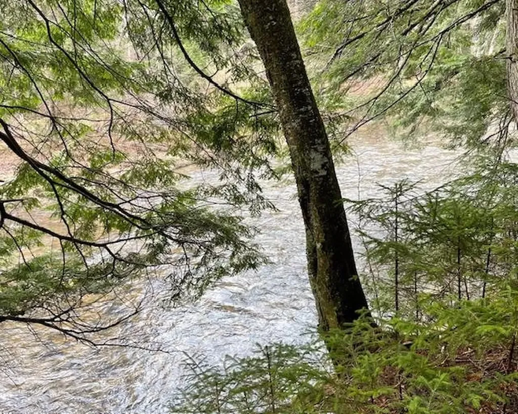 191 Pingree Park Lane Londonderry VT 05148