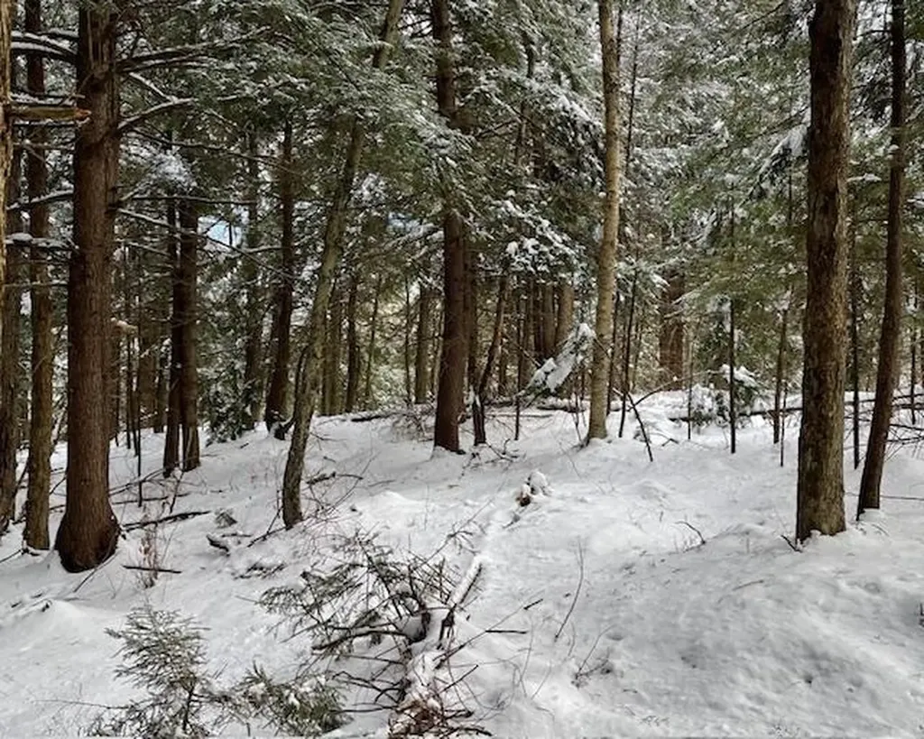 191 Pingree Park Lane Londonderry VT 05148