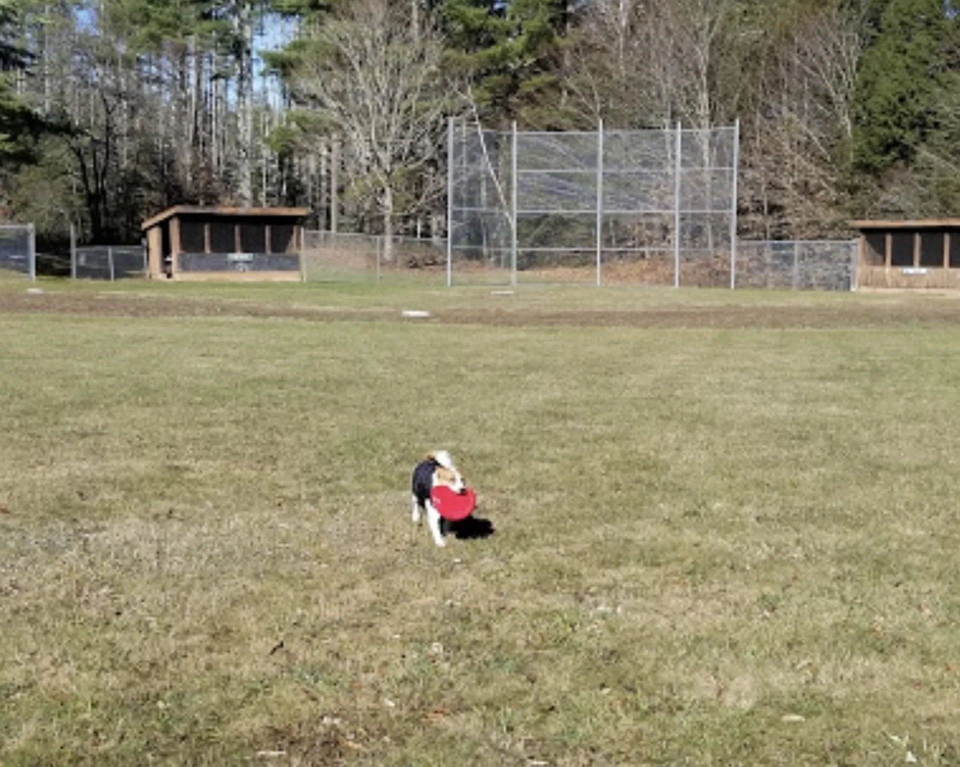 191 Pingree Park Lane Londonderry VT 05148