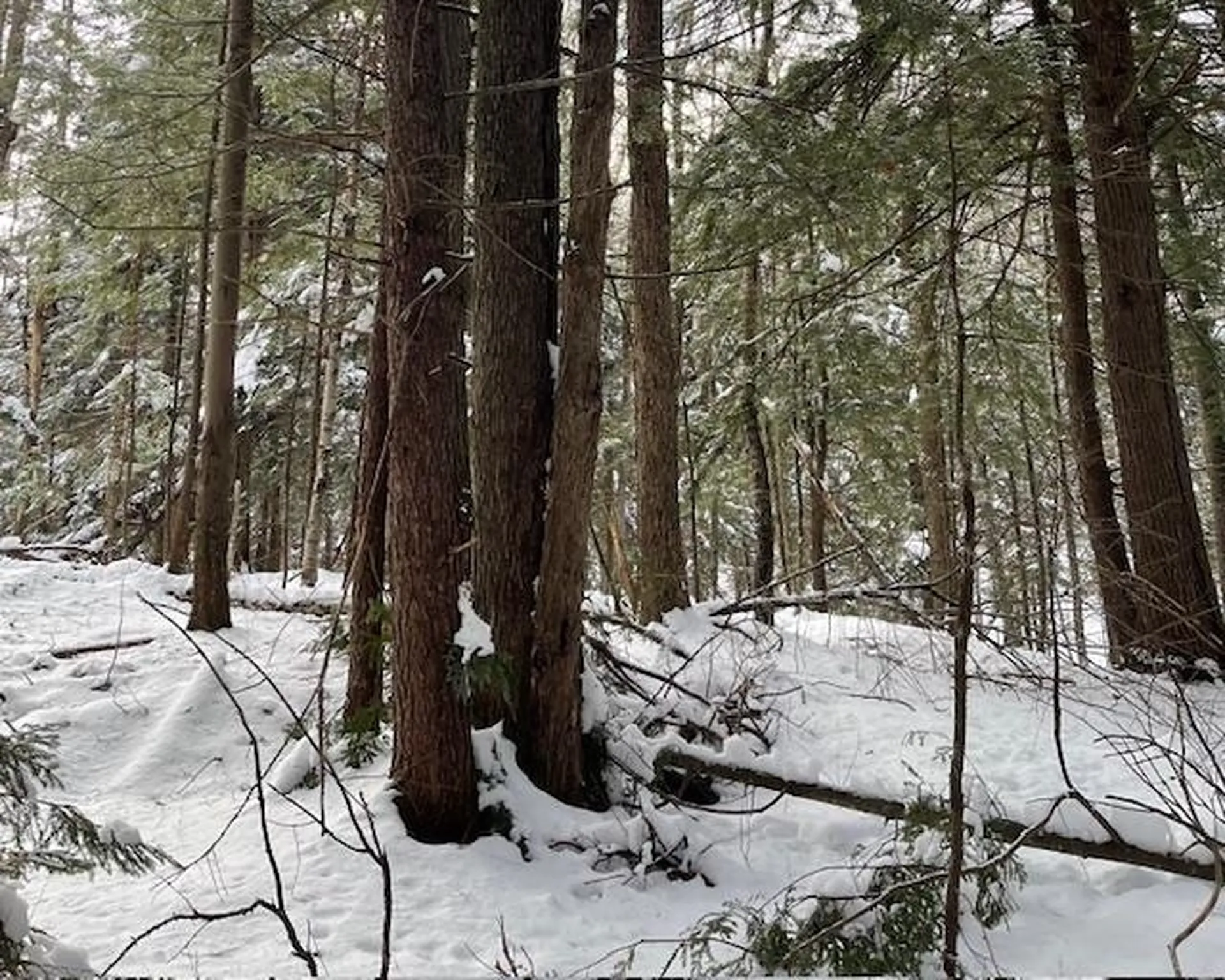 191 Pingree Park Lane Londonderry VT 05148