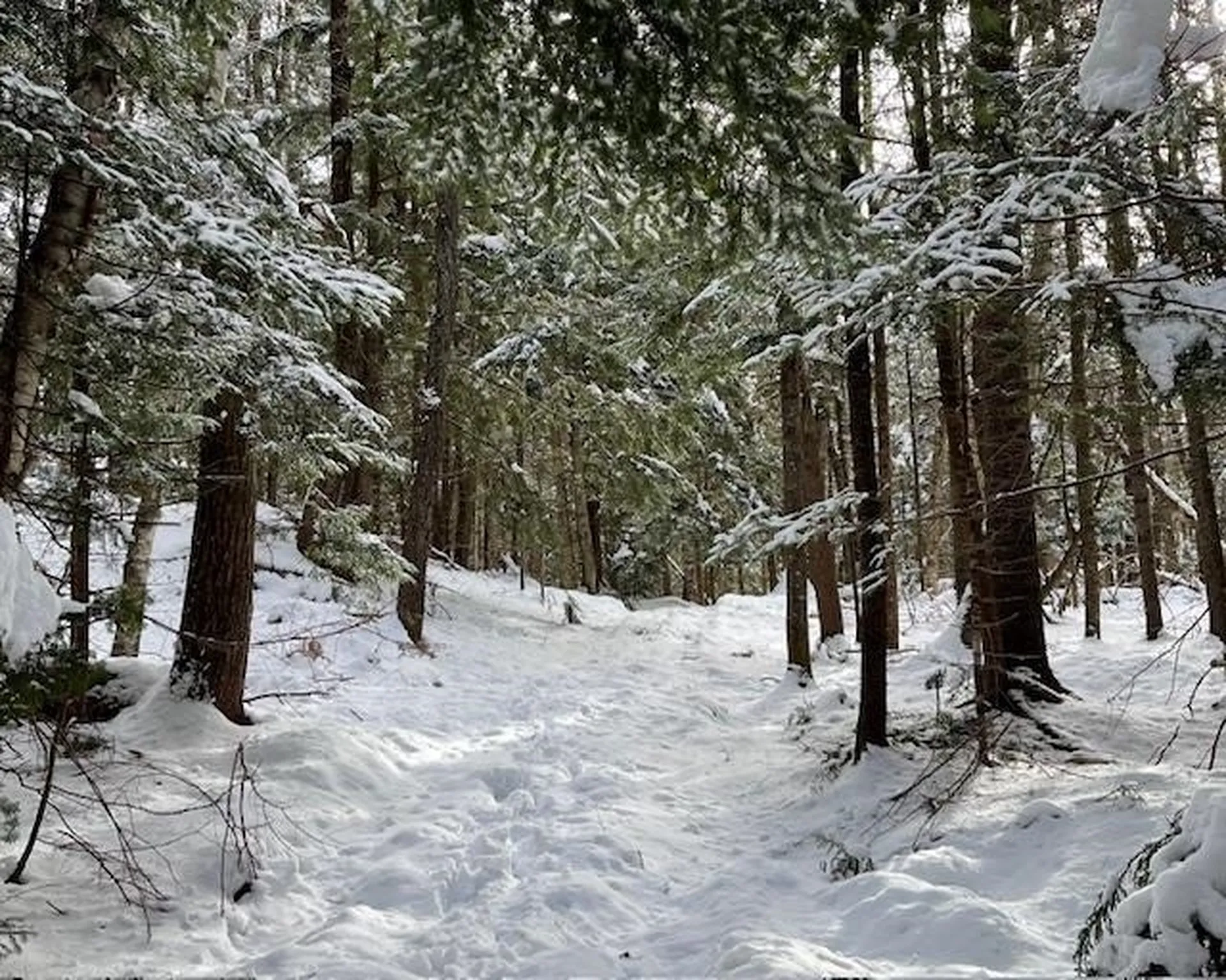 191 Pingree Park Lane Londonderry VT 05148