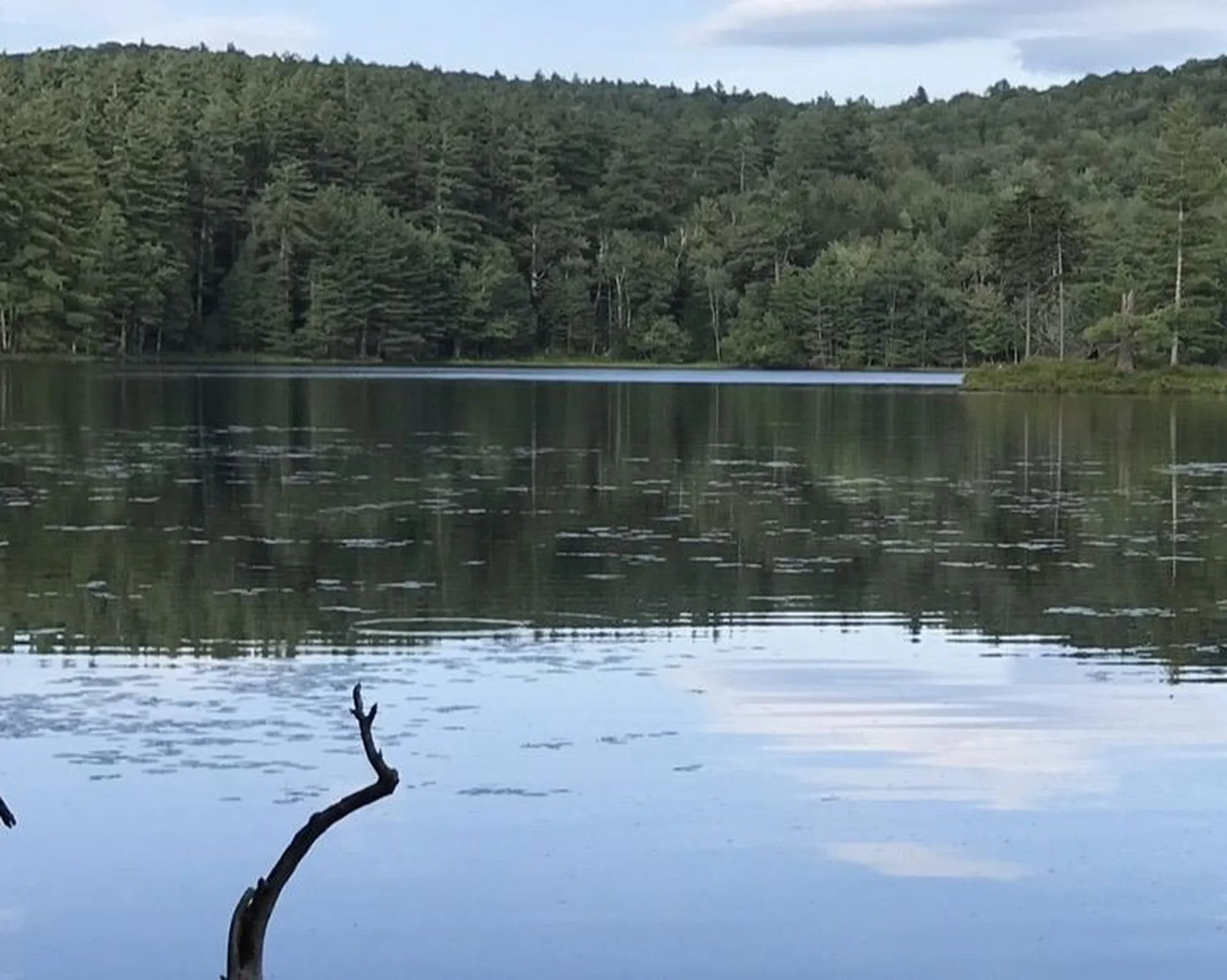 191 Pingree Park Lane Londonderry VT 05148