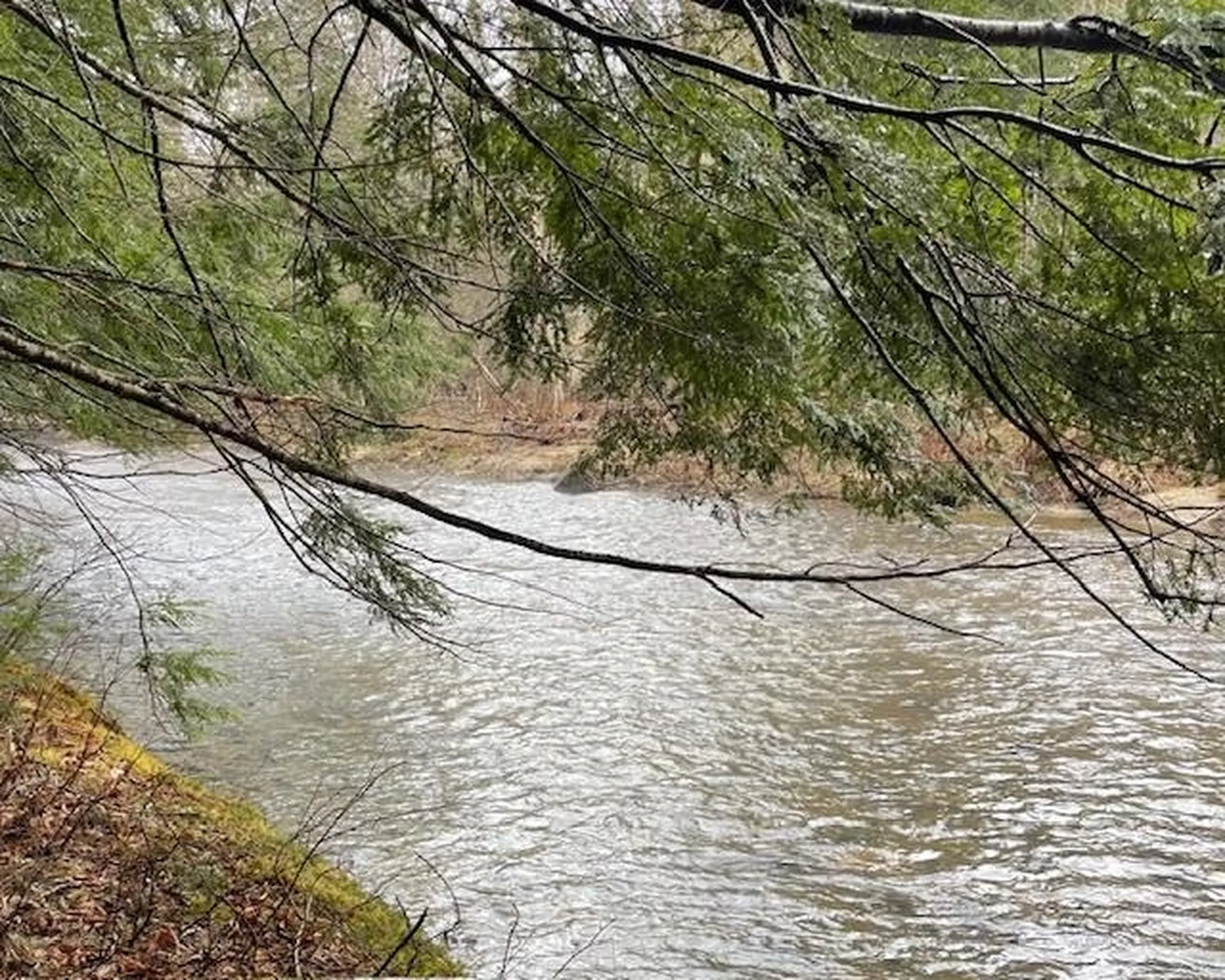 191 Pingree Park Lane Londonderry VT 05148