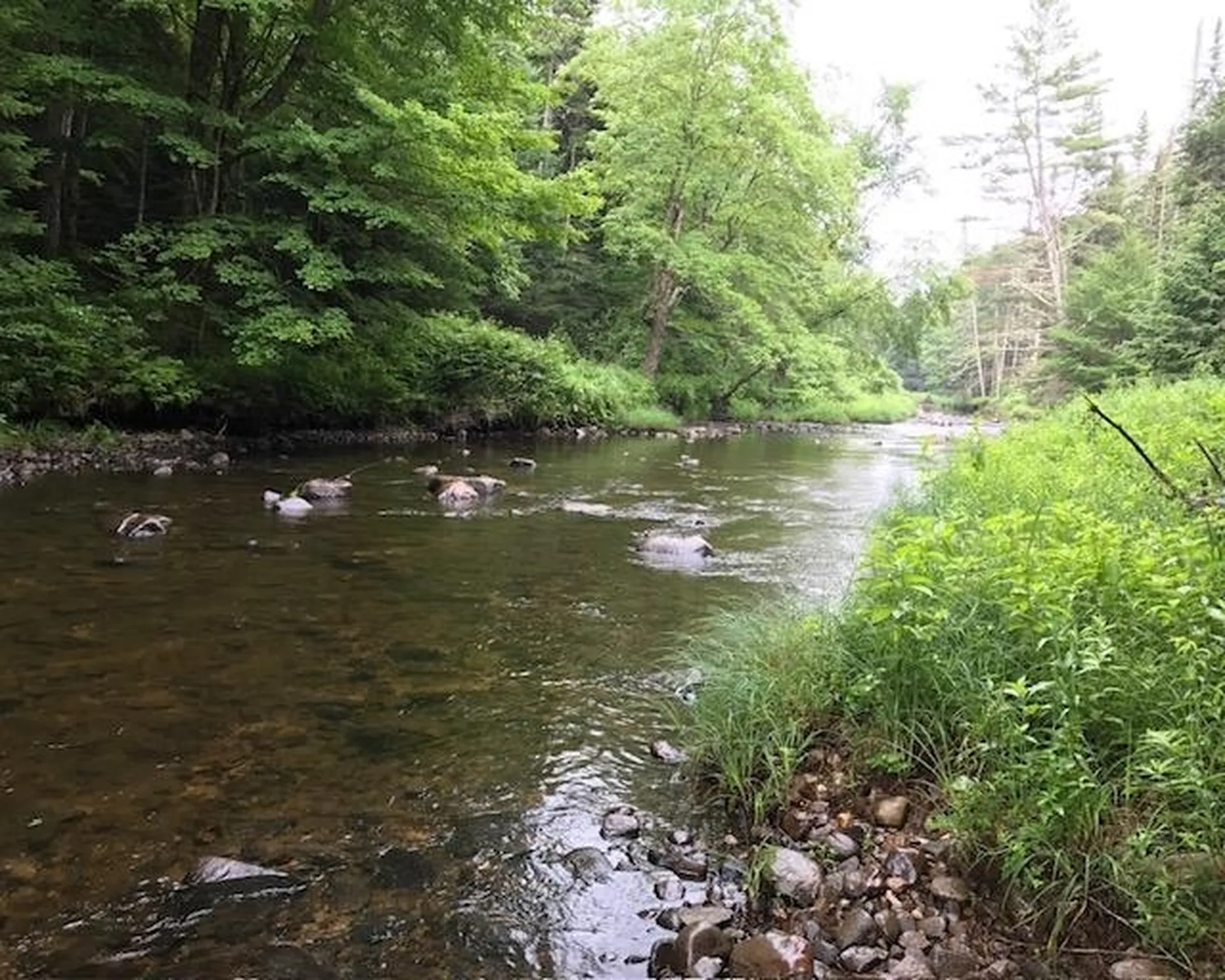 191 Pingree Park Lane Londonderry VT 05148