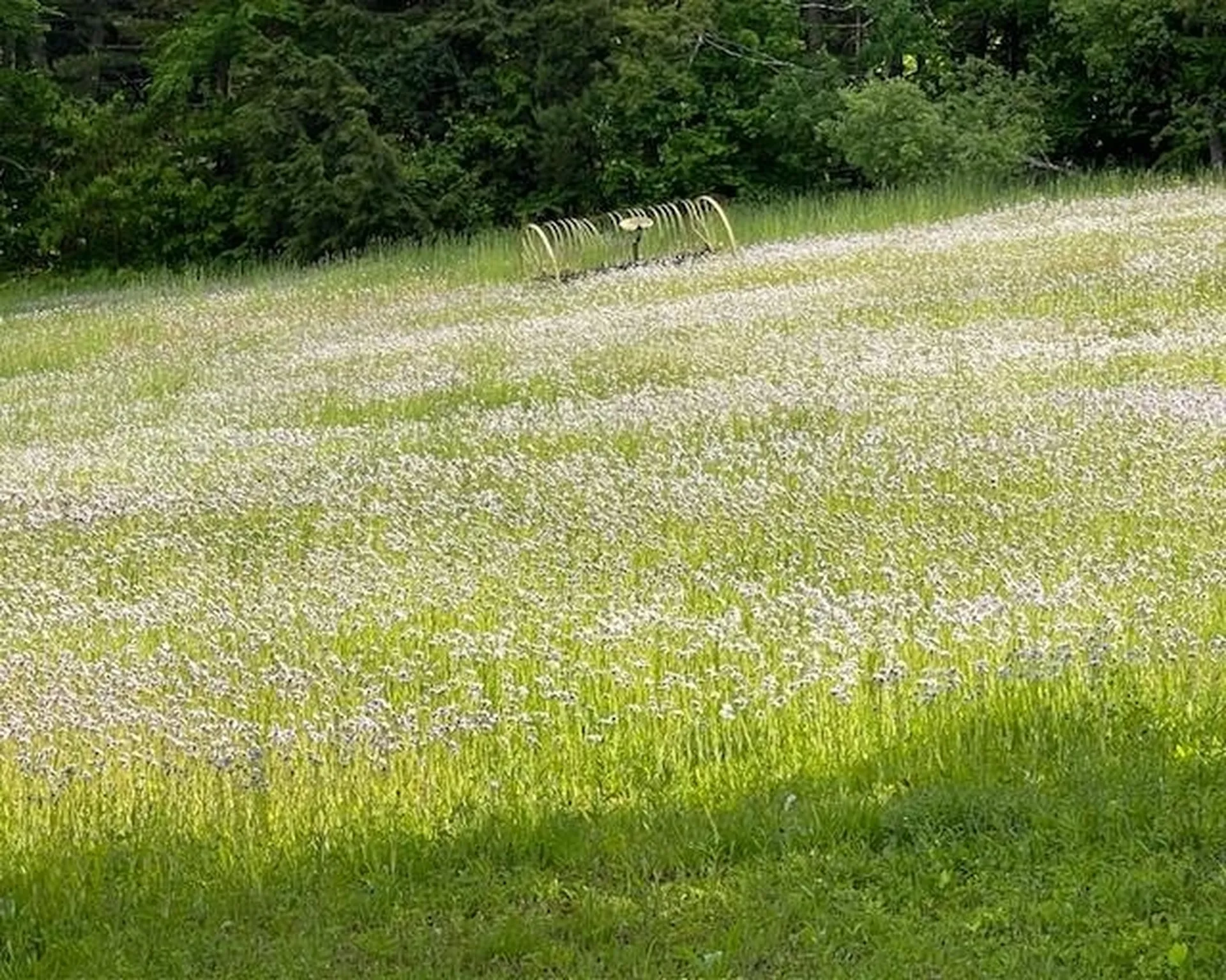 191 Pingree Park Lane Londonderry VT 05148