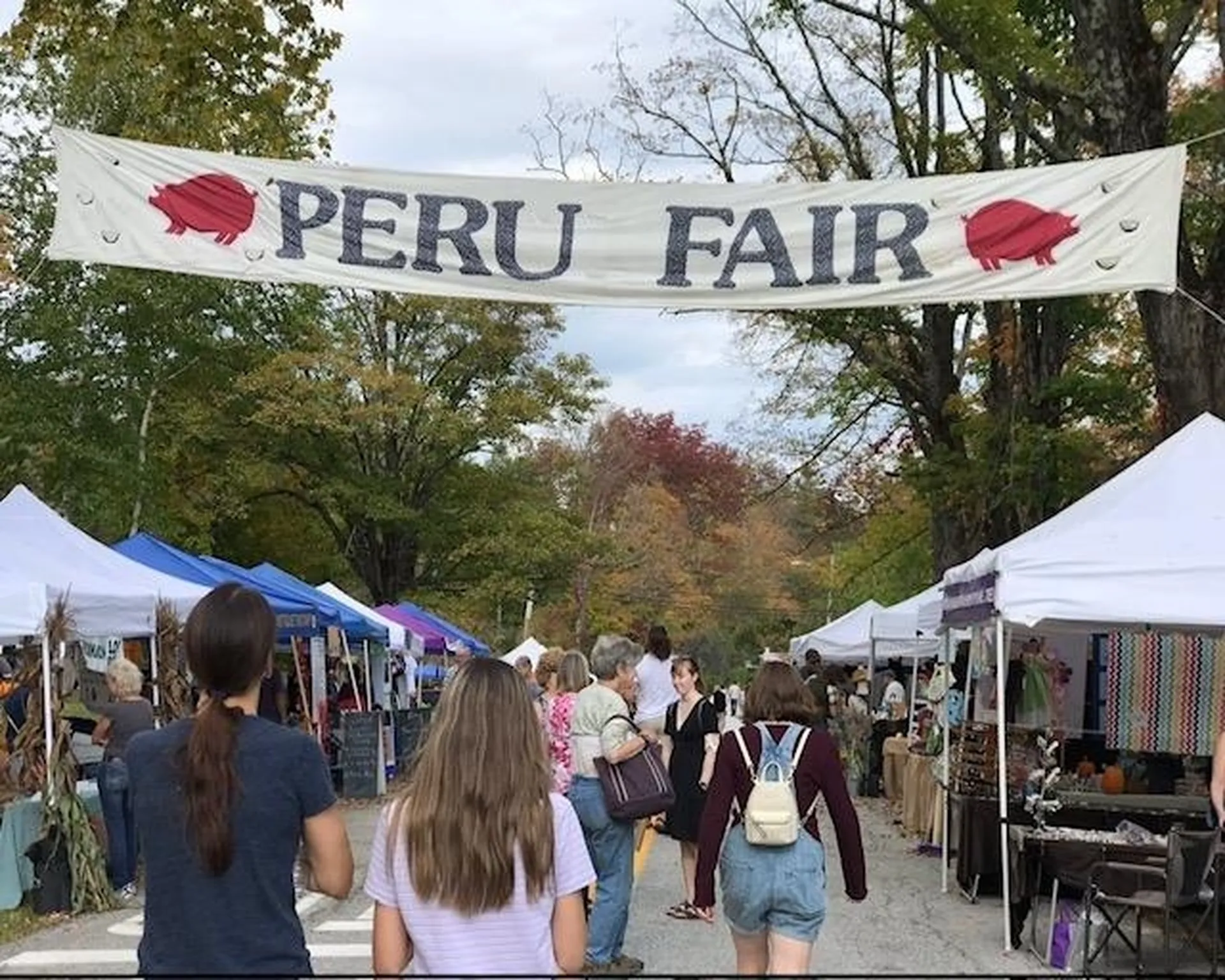 191 Pingree Park Lane Londonderry VT 05148