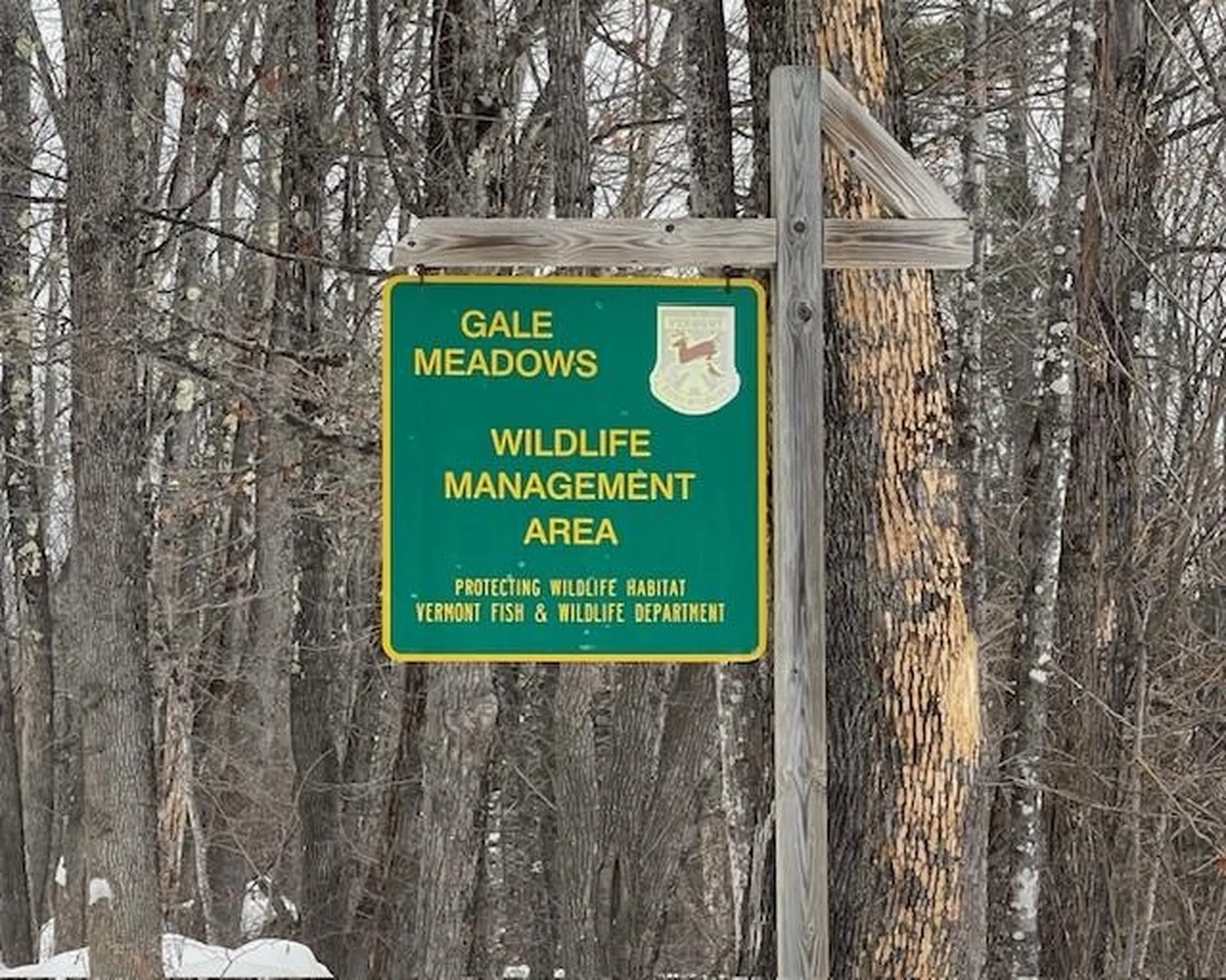 191 Pingree Park Lane Londonderry VT 05148