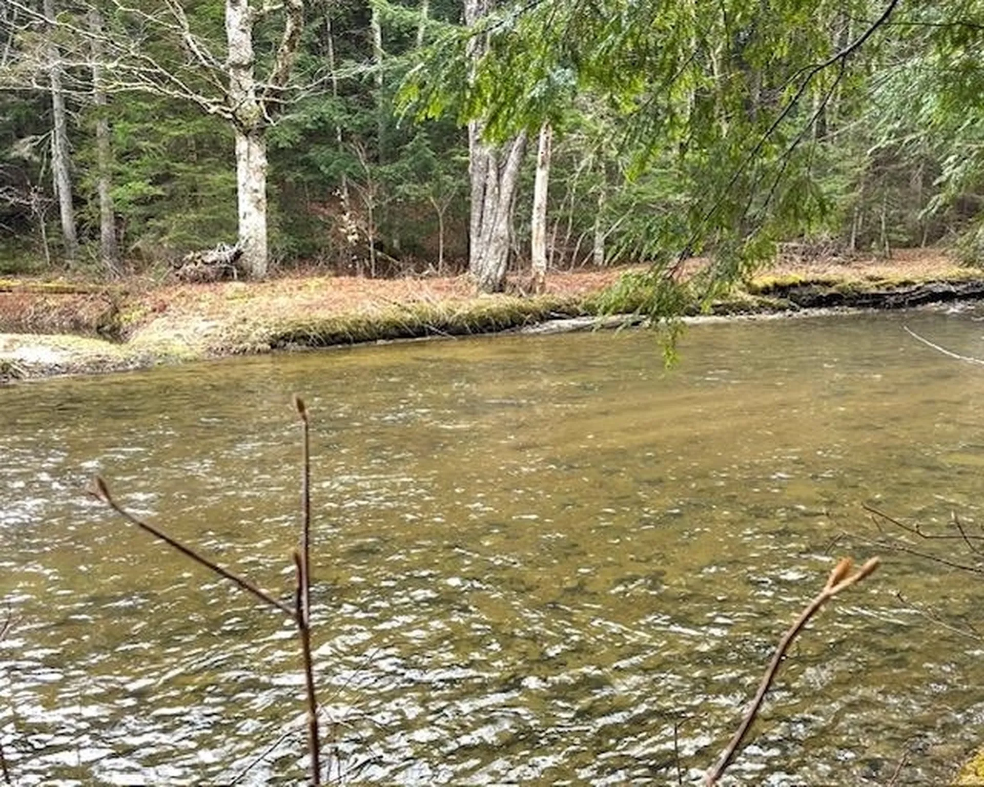 191 Pingree Park Lane Londonderry VT 05148