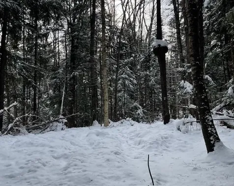 191 Pingree Park Lane Londonderry VT 05148