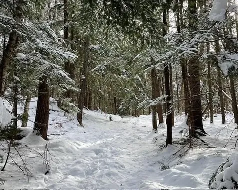 191 Pingree Park Lane Londonderry VT 05148