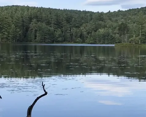 191 Pingree Park Lane Londonderry VT 05148