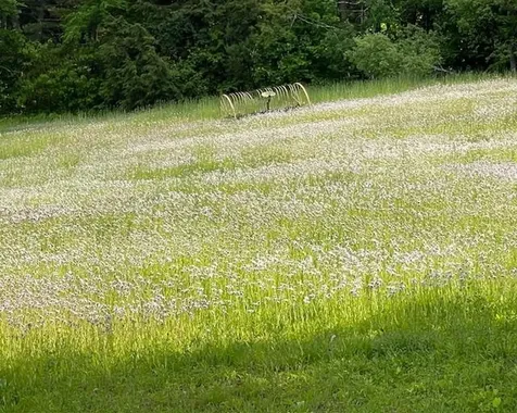 191 Pingree Park Lane Londonderry VT 05148