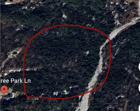 191 Pingree Park Lane Londonderry VT 05148