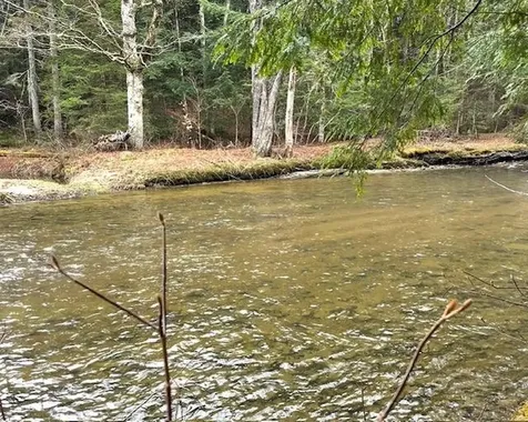 191 Pingree Park Lane Londonderry VT 05148