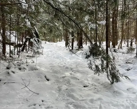 191 Pingree Park Lane Londonderry VT 05148