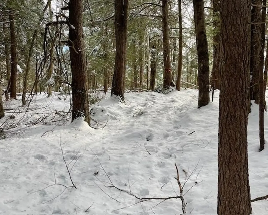 192 Pingree Park Lane Londonderry VT 05148