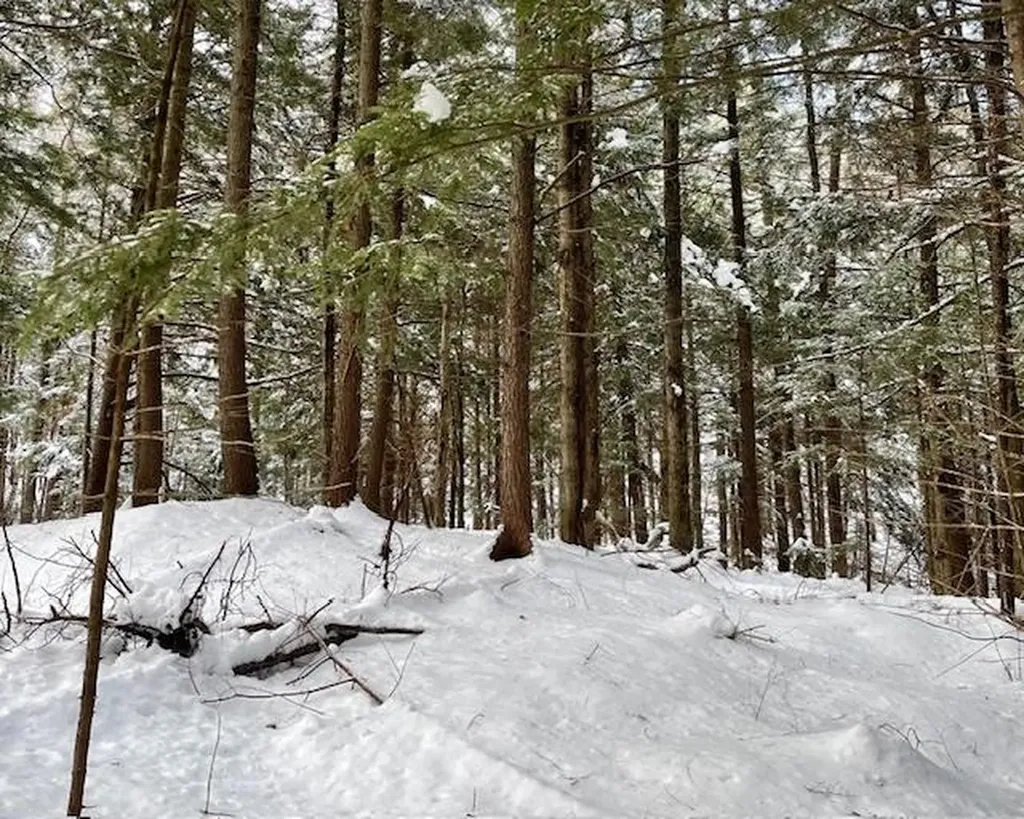 192 Pingree Park Lane Londonderry VT 05148